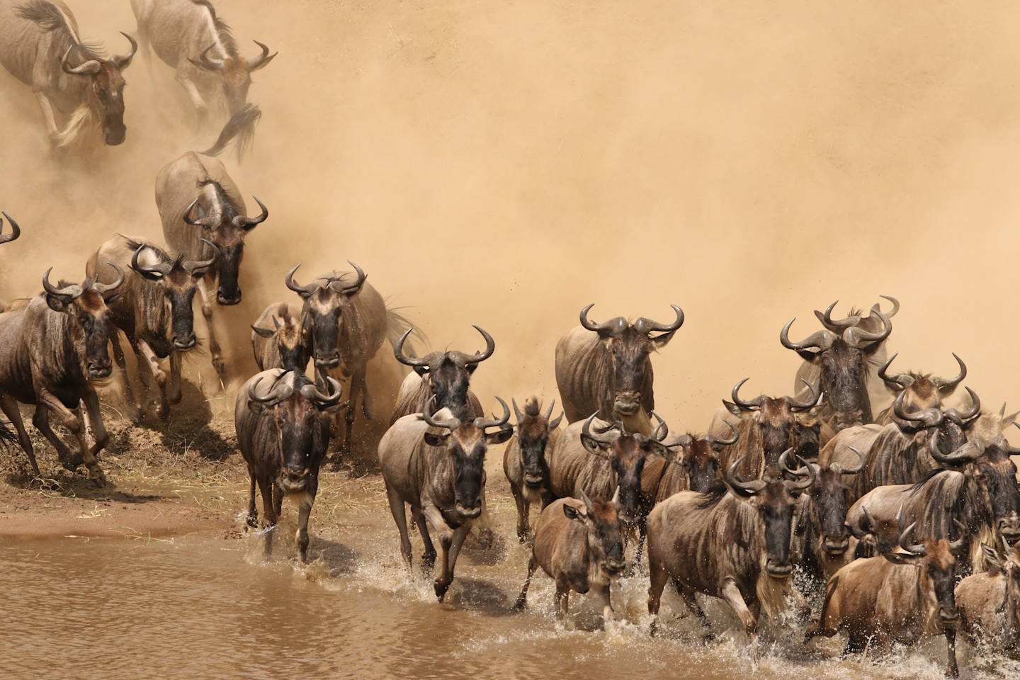 Serengeti National Park — The Savanna Plains