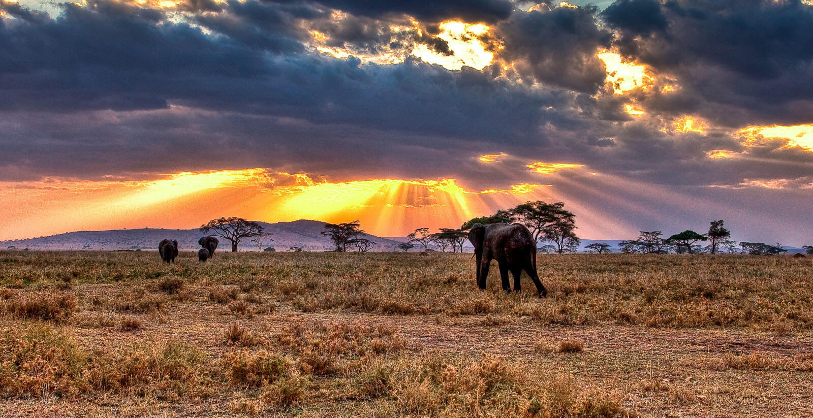5 Days Tanzania Wild Life Safari Itinerary