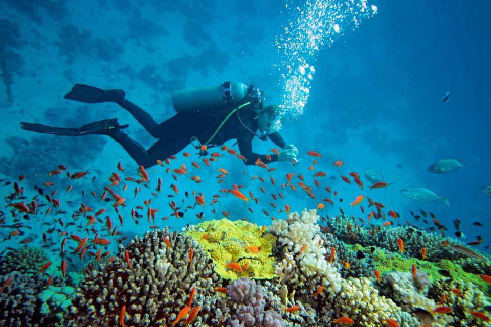 Chumbe Island Coral Park – Marine Conservation Safari