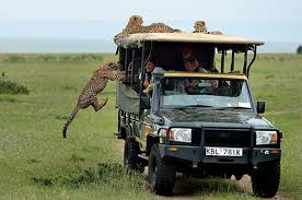 Mikumi National Park — Swahili Coast’s Gateway