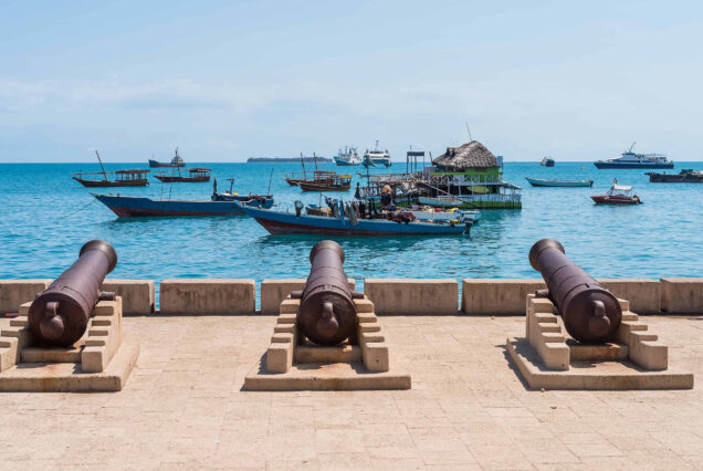 Kidichi Spice Farm, Stone Town Tour & Prison Island