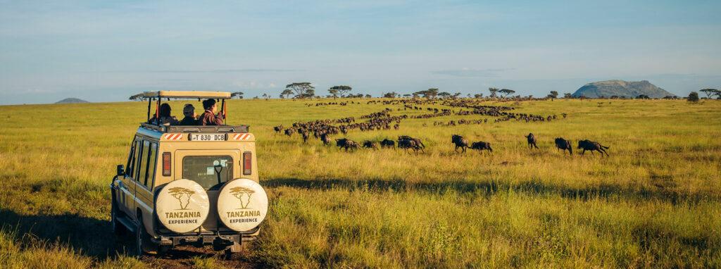 5 Days Tanzania Wild Life Safari Itinerary
